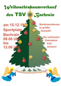 Weihnachtsbaumverkauf am Sportplatz @ Sportgelände des TSV Bachrain | Künzell | Hessen | Deutschland